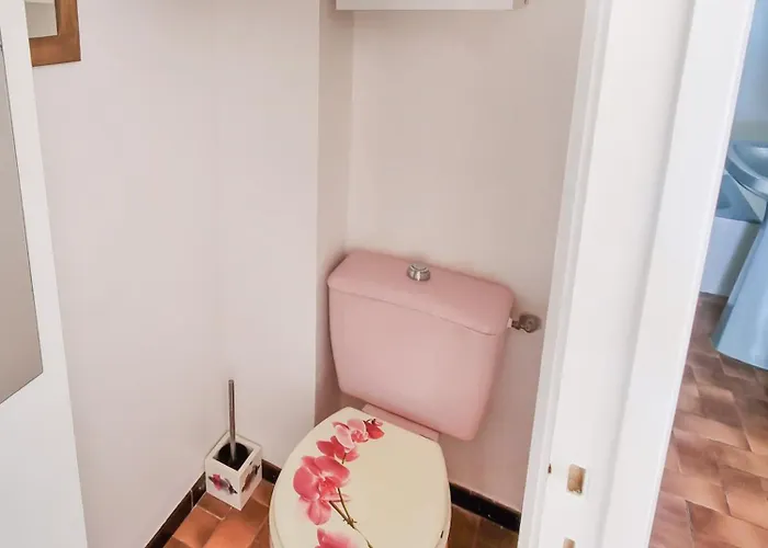 Apartament Les Marguerites - T2 Avec Clim Et Parking A La Fossette *